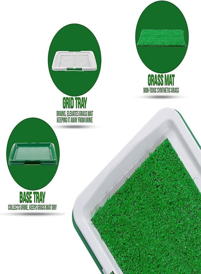 Zipron Puppy Potty Training Pad Washable Reusable Dog Potty Tray with Grass for Home Outdoor Garden, Dog Pee Toilet Training Pad Artificial Fake Grass Puppy Training Pads Dog Puppy Pad with Tray Large Dog - Image 2